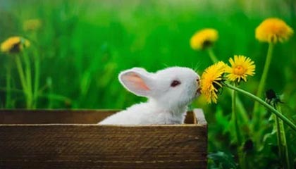 影视网淘娱淘乐:把影视乐趣和精彩购物合二为一的全新体验