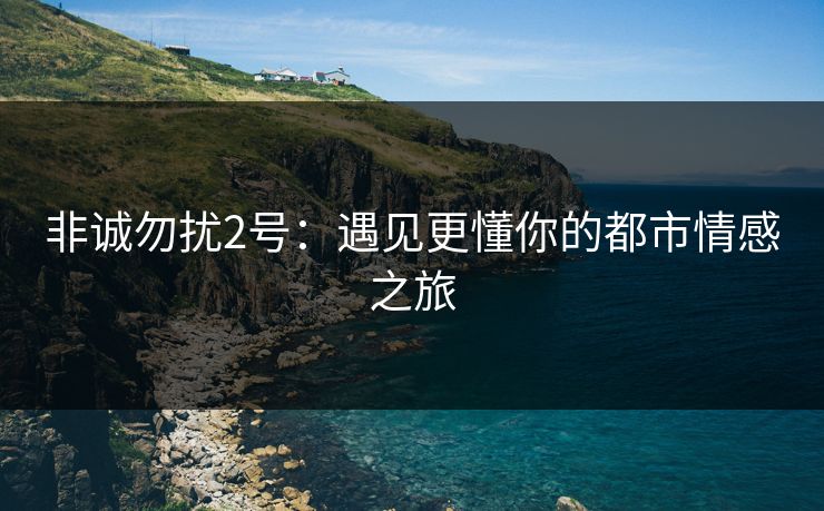 非诚勿扰2号：遇见更懂你的都市情感之旅