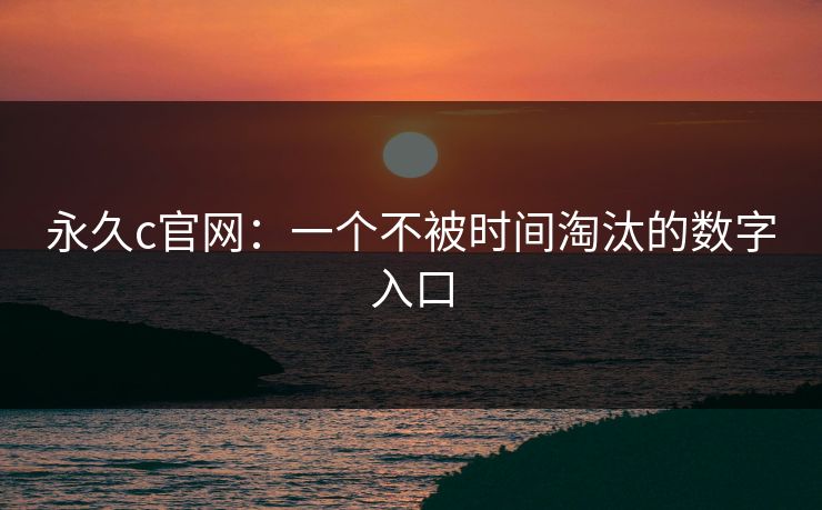 永久c官网：一个不被时间淘汰的数字入口