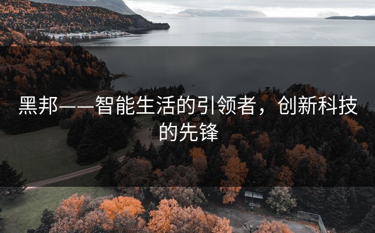 黑邦——智能生活的引领者，创新科技的先锋