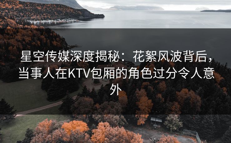星空传媒深度揭秘：花絮风波背后，当事人在KTV包厢的角色过分令人意外